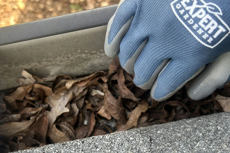 Gutter Cleaning Hazel Green