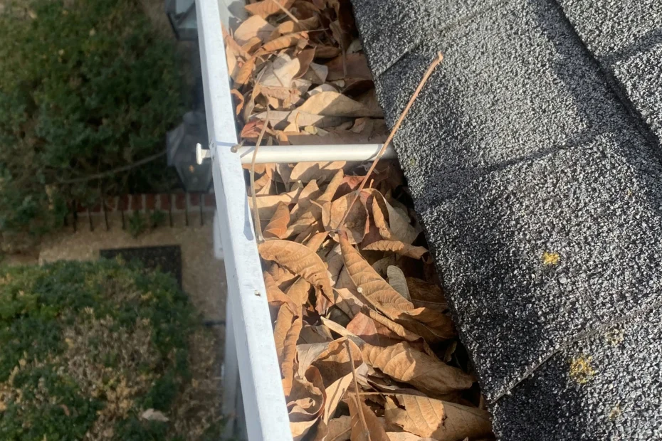 Gutter Cleaning Hazel Green